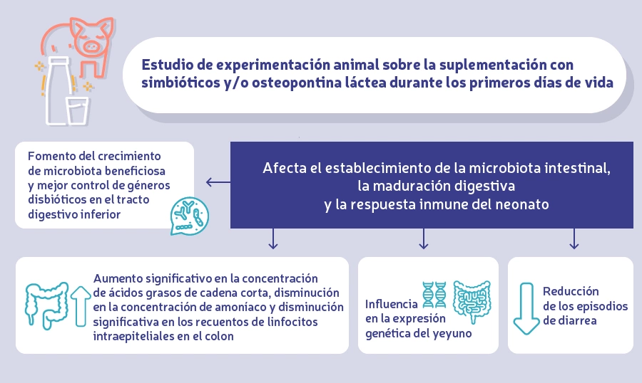 Infografía